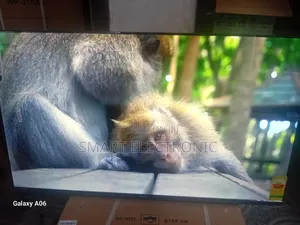 Sigma 55-Inch Smart Tv – Upgrade Your Viewing Style