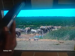 Sigma 55" Smart Tv – Entertainment in Full Glory