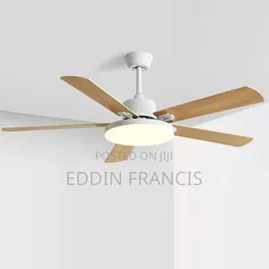 Decorative Act Fan Light With Remote Control