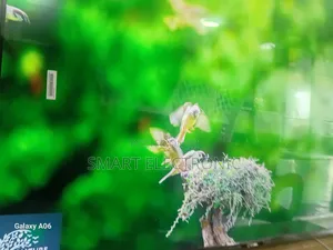 Sigma 55-Inch Smart Tv – Big Screen Brilliance for Every Home