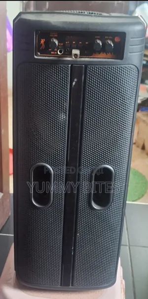 Rechargeable Medium Speaker With Mic