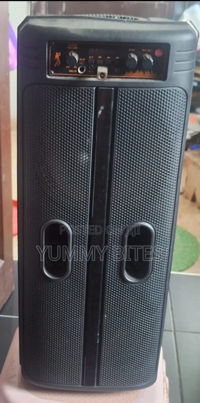 Rechargeable Medium Speaker With Mic