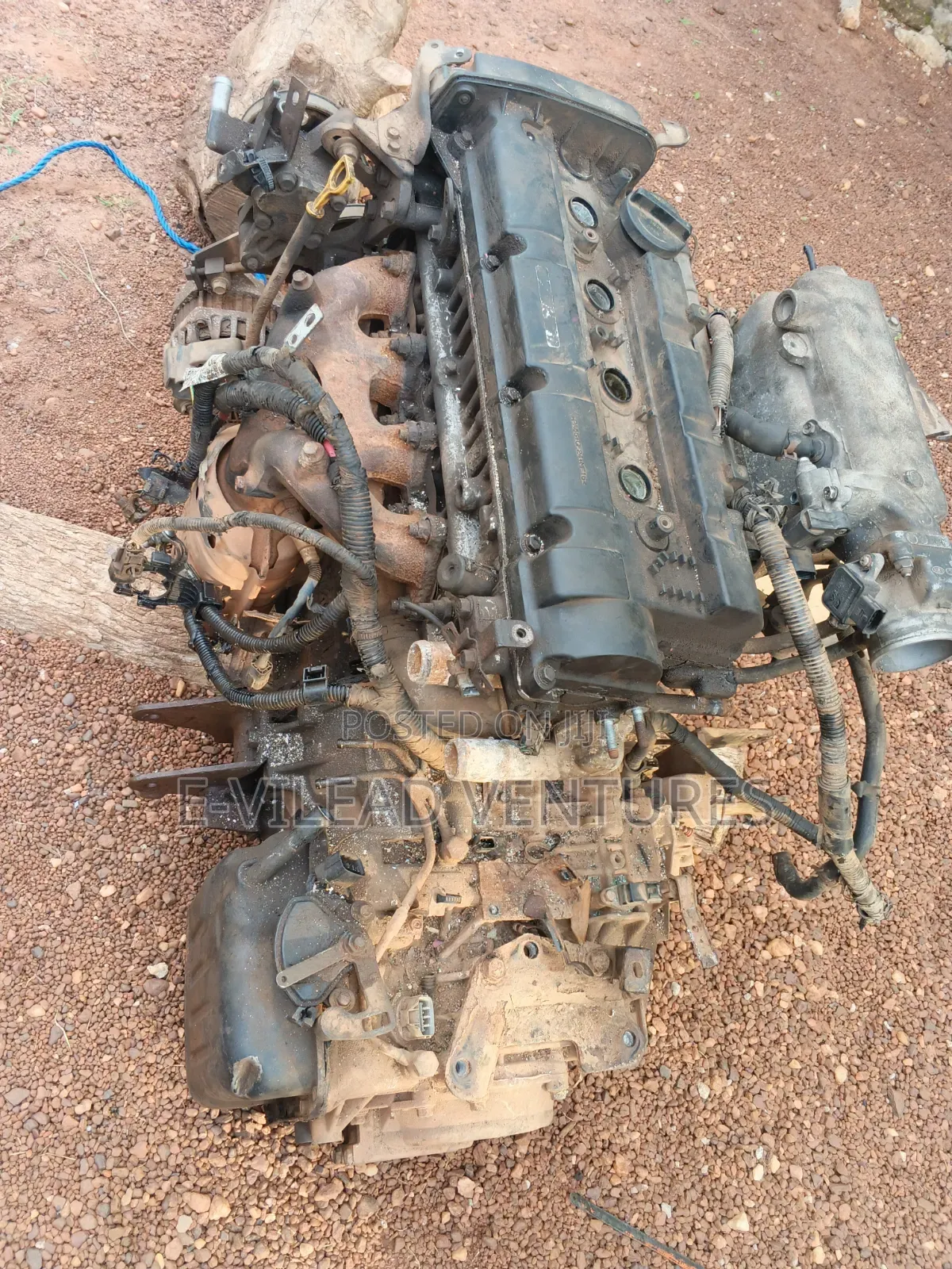 Kia Sportage Engine