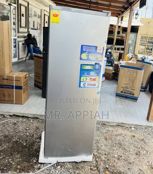 Shop Classic Nasco Single Door Upright Standing Freezer(Gray)