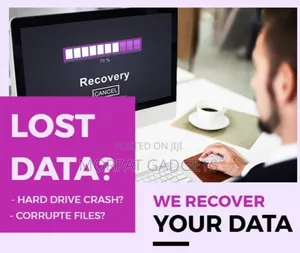 Data Recovery Service (Professional)