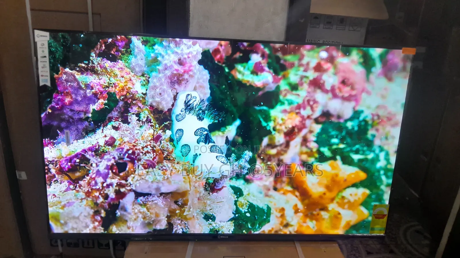Sigma 55-Inch Uhd Led Tv – Reliable High Quality
