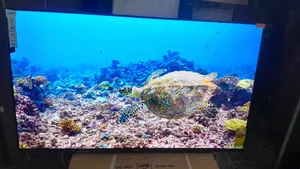Sigma 55-Inch Uhd Led Tv – Reliable High Quality