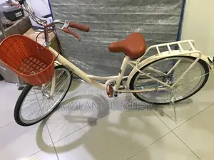 Flshishu Bicycle
