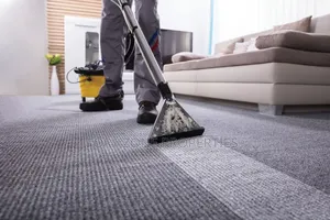 Carpet and More