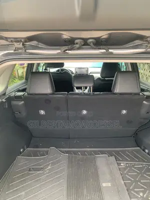 Toyota RAV4 2020 Gray