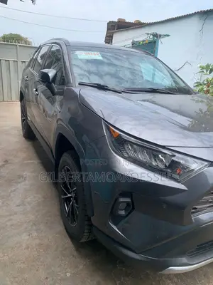 Toyota RAV4 2020 Gray