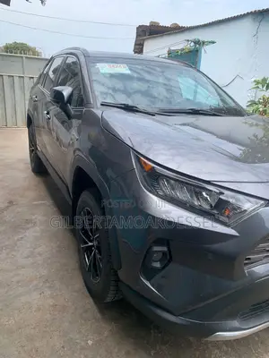 Toyota RAV4 2020 Gray