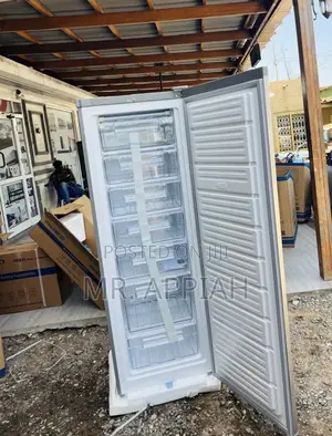 Get Premium Nasco Upright Standing Freezer(Nasd1-33)Gray 