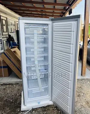 Check Out Reliable Nasco Single Door Upright Standing Freezer.