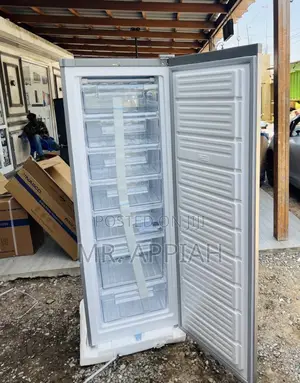 Sleek Designed Nasco 242l Standing Freezer(Nasd1-33)Gray 