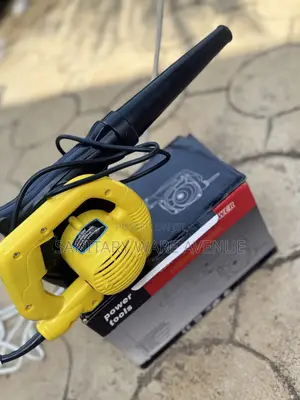 Electric Blower _ Car Blower