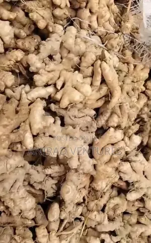 Fresh Ginger Available