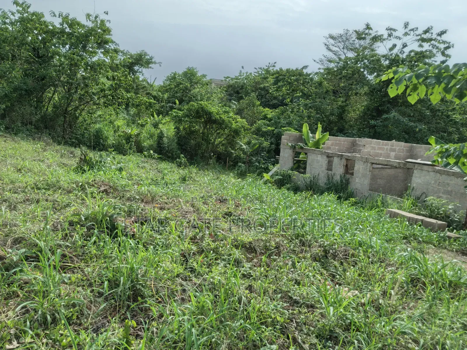 Hall Plot for Sale at Adankwaame