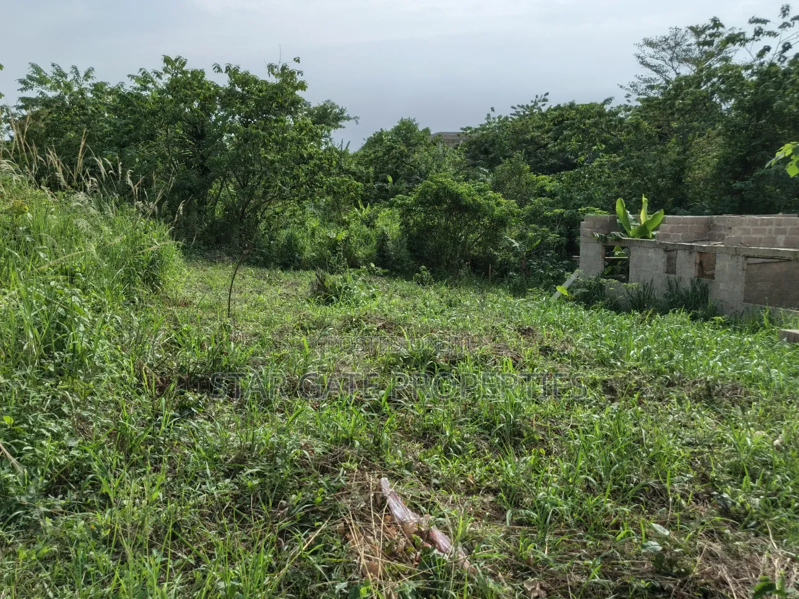 Hall Plot for Sale at Adankwaame