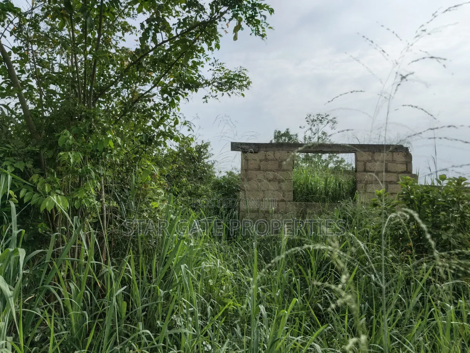 Plot for Sale at Adankwaame