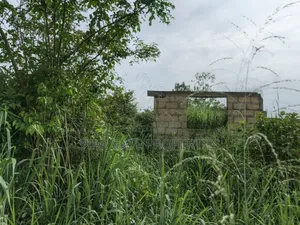 Plot for Sale at Adankwaame