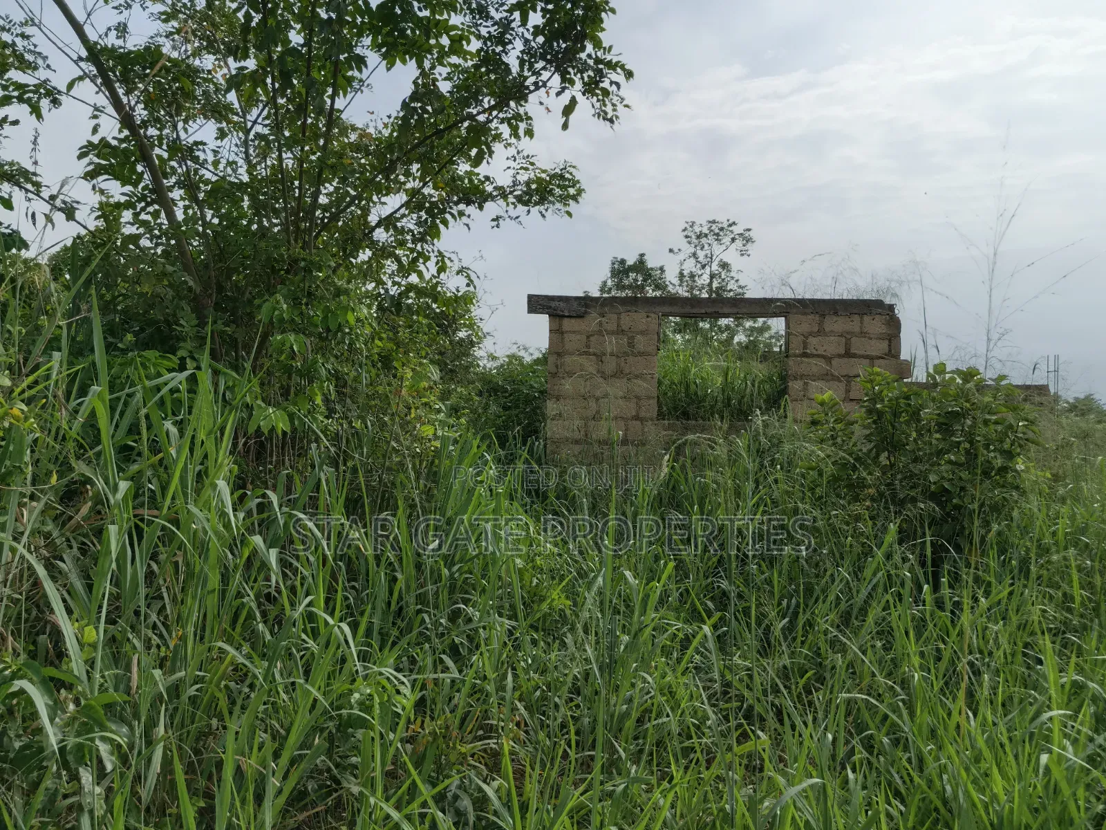 Plot for Sale at Adankwaame