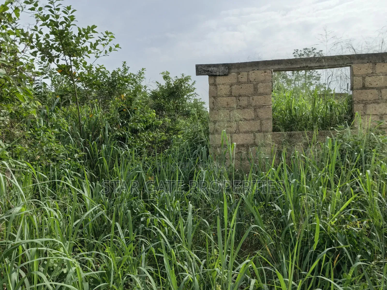 Plot for Sale at Adankwaame