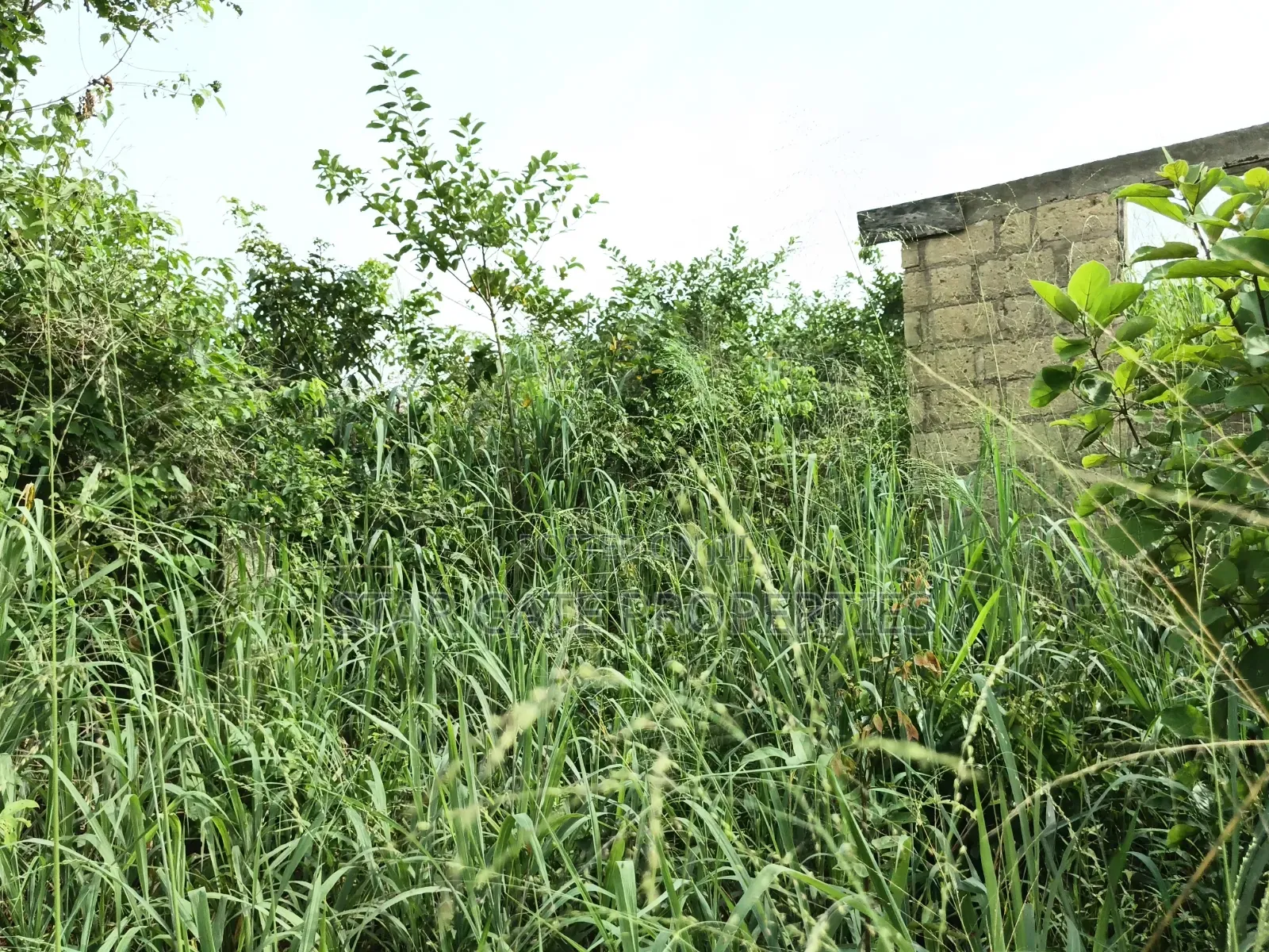 Plot for Sale at Adankwaame