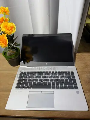 Laptop HP EliteBook 745 G6 16GB AMD Ryzen 5 SSD 256GB