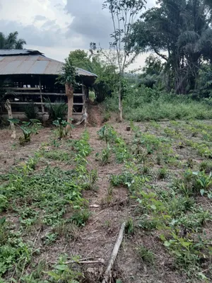 Land Available for Sale in Hohoe