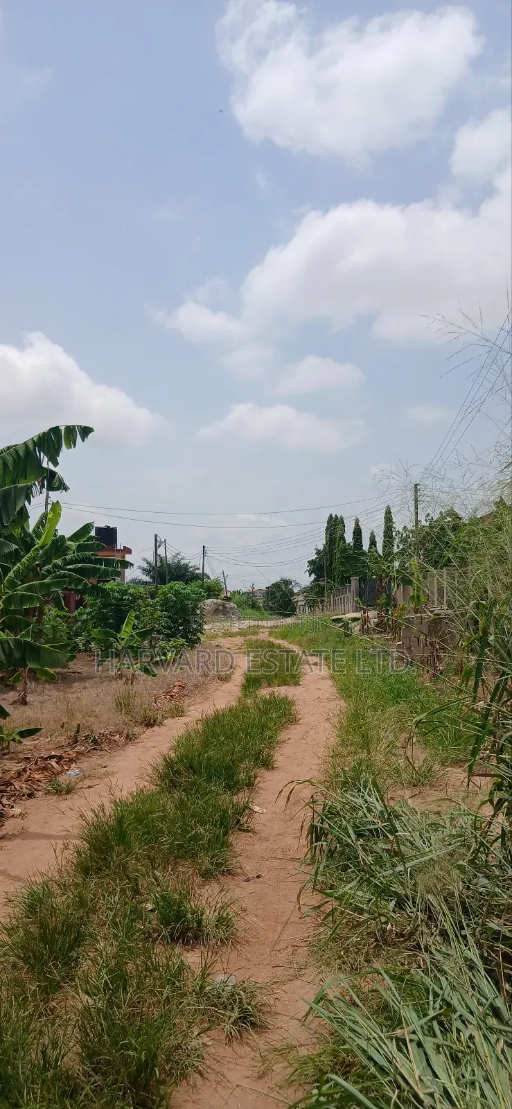 2 Plots of Land at Tech Donyina Knust Campus