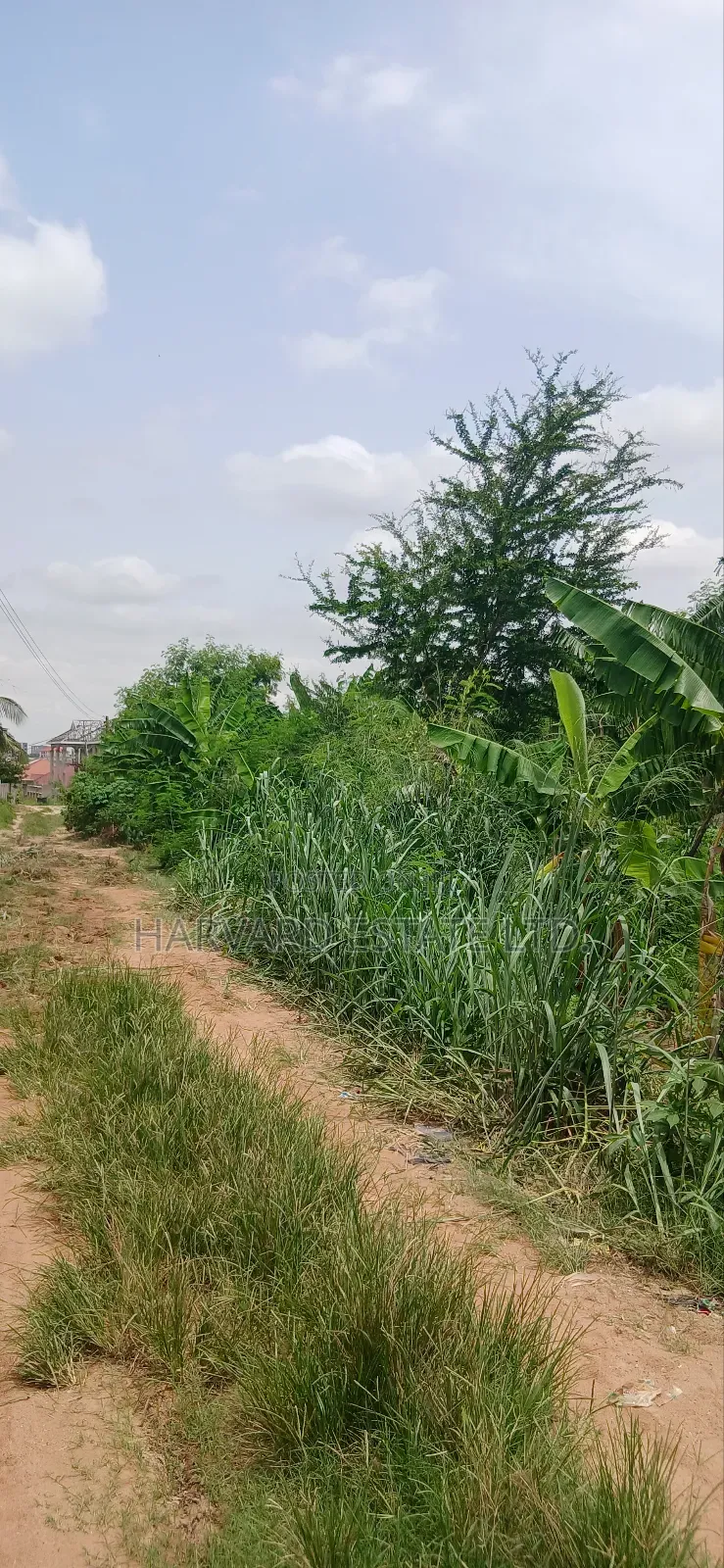 2 Plots of Land at Tech Donyina Knust Campus