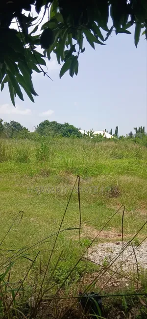 Land at Tech Donyina