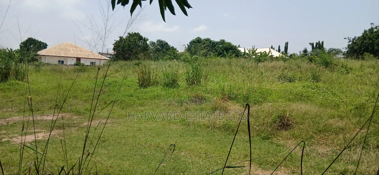Land at Tech Donyina