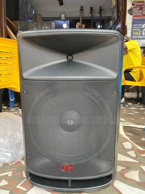 JLD 15'' Inches Rechargeable Bluetooth Speaker