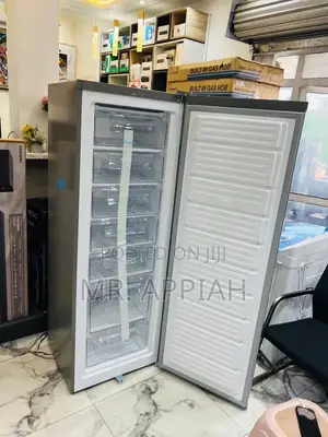 Classic Nasco Single Door Standing Freezer(Nasd1-33)7 Drawers,Silver