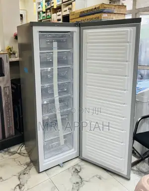 Quality Nasco Nasd1-33 Single Door Upright Freezer(Silver)242liters