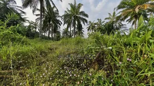 Super Affordable and Highly Accessible Lands at Appiadu