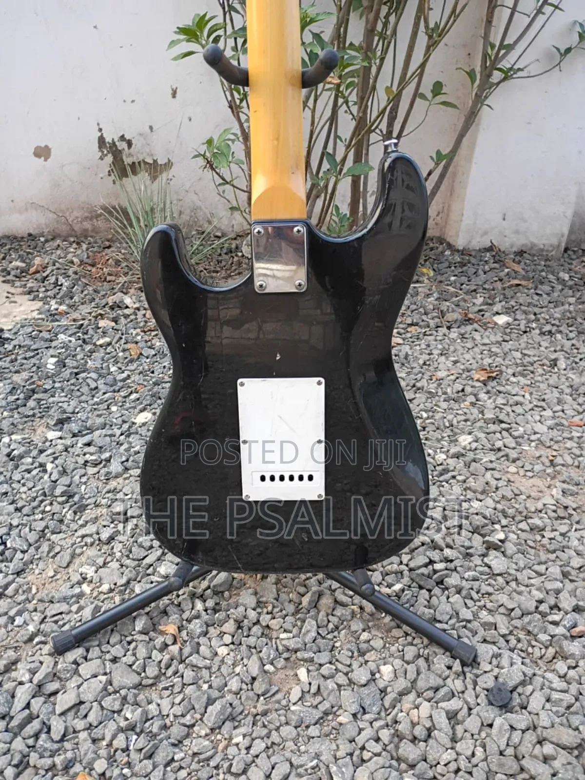 Behringer Stratocaster Guitar