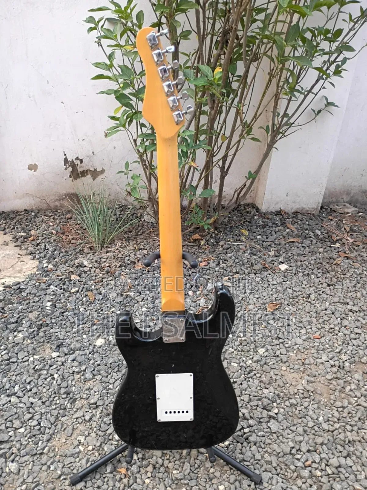 Behringer Stratocaster Guitar