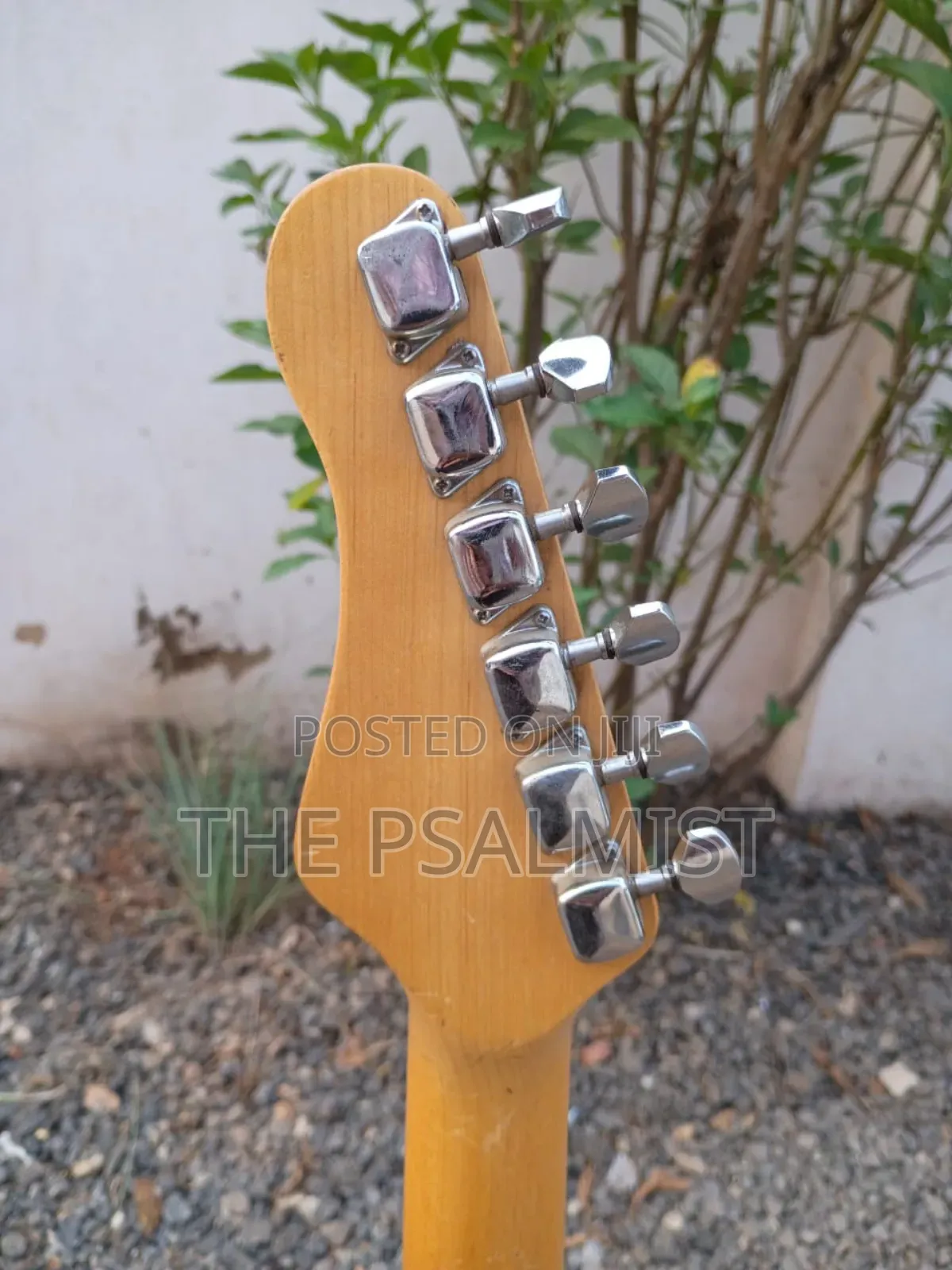 Behringer Stratocaster Guitar