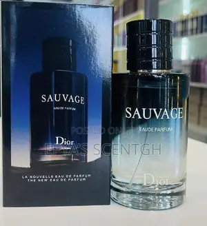 Sauvage Dior Perfume
