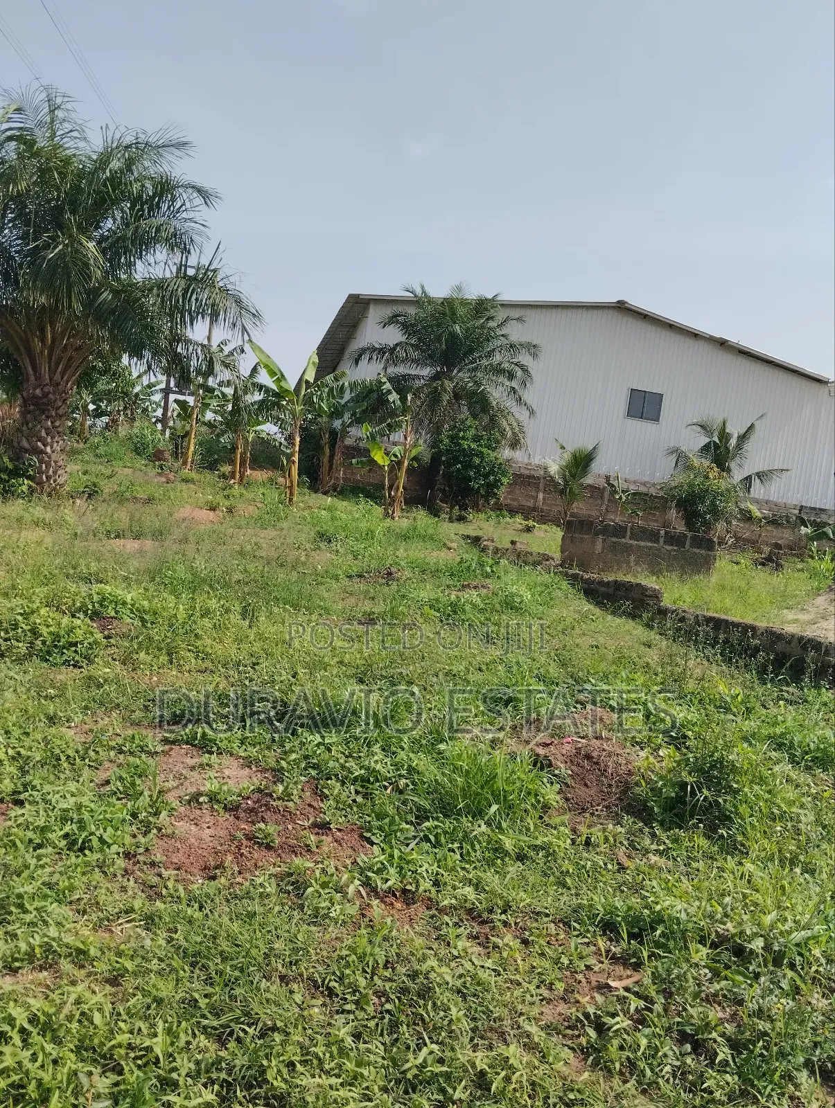 Hostel Land in Ipt
