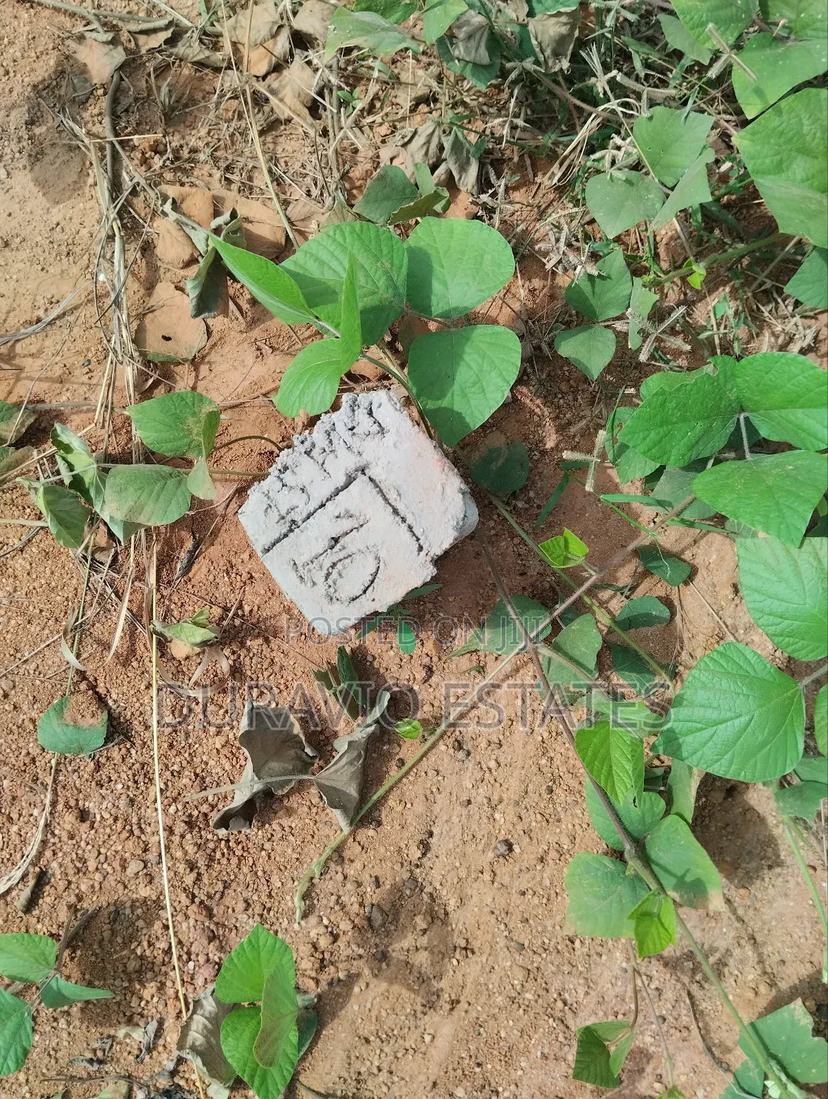 Premier Land in Atwima Takyiman