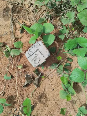 Premier Land in Atwima Takyiman