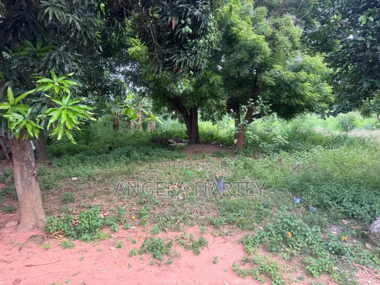 4bdrm House in Ridge, Accra Metropolitan for sale