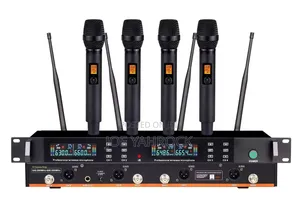4 in 1 Cordless/Wireless Microphone