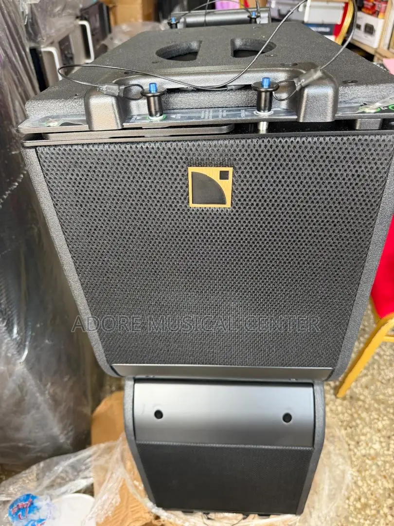 Karall 10inches All Black Line Arrays Speaer 1pair