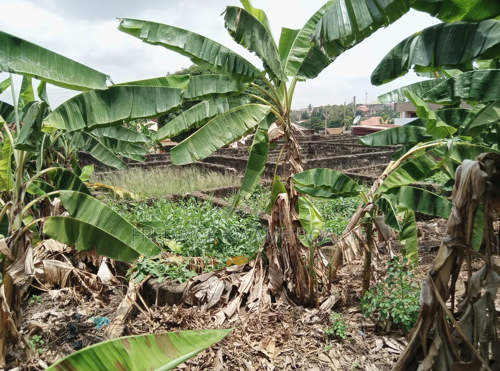 150x130 Plot of Land for Sale at Kwadaso Estate