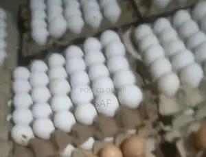 Saf Fresh Eggs